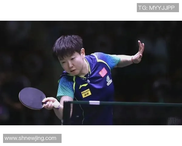 杭州排球队以82分领跑大满贯积分榜展现强劲实力