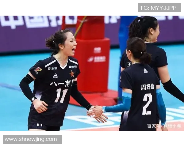 杭州排球队创新高排球配合排名跃升至全国前列