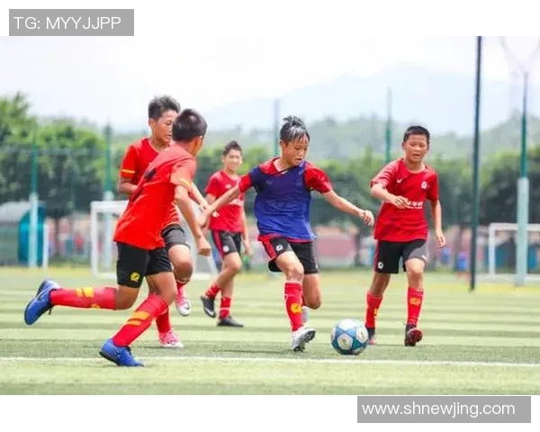 足球明星职业生涯发展规划与未来潜力挖掘策略探讨